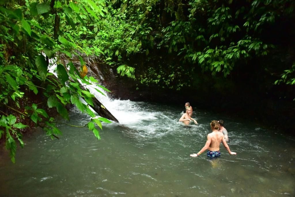 Natural swimming pool surrounded by rainforest